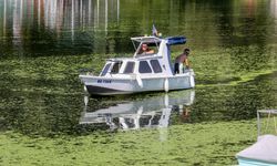 Sava Nehri alg patlaması nedeniyle renk değiştirdi