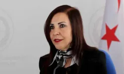 Emine Dizdarlı: Yeni Yüksek Mahkeme binasının açılışında izlediklerimiz siyasi bir şovdu