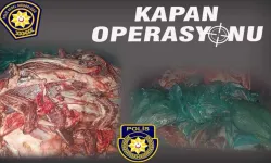 5 ton kaçak et ele geçirildi!
