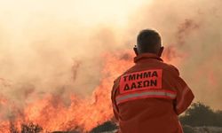 Limasol’un dağlık bölgesinde hızla yayılan yangın Vuni ve Potami’ye doğru ilerliyor