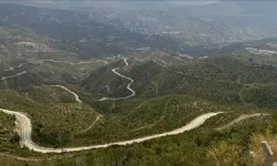 Manavgat'taki yangınının üzerinden dört yıl geçti