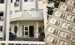 Maliye Bakanlığı Bu Kez 3,1 Milyar TL Borç Arıyor