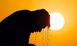 Hava sıcaklığı 41-44 °C dolaylarında olacak
