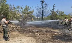 Elektrik hatları ağaçlara değdi, Girne kaçış yolunda yangın çıktı!