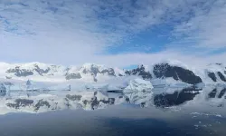 Antarktika’da yapay zeka devrimi: Saniyeler içinde tespit ettiler