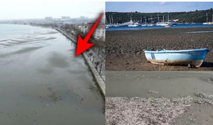Tsunami korkusu