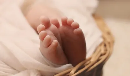 Science Advances: Bebeğin cinsiyetinin ne olacağı şansa bağlı değil