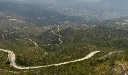 Manavgat'taki yangınının üzerinden dört yıl geçti