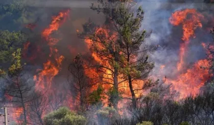 Türkiye'deki orman yangınlarında 4. gün: 3 ilde 4 yangın sürüyor
