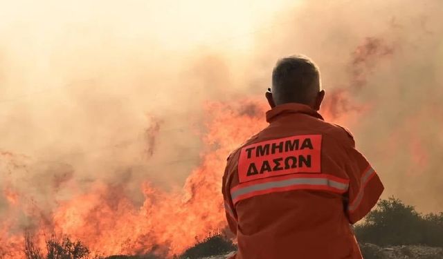 Limasol’un dağlık bölgesinde hızla yayılan yangın Vuni ve Potami’ye doğru ilerliyor