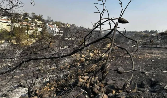 Güney Kıbrıs