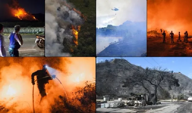 AB ülkelerinde son iki haftada bu yılın toplamından daha fazla ormanlık alan yandı