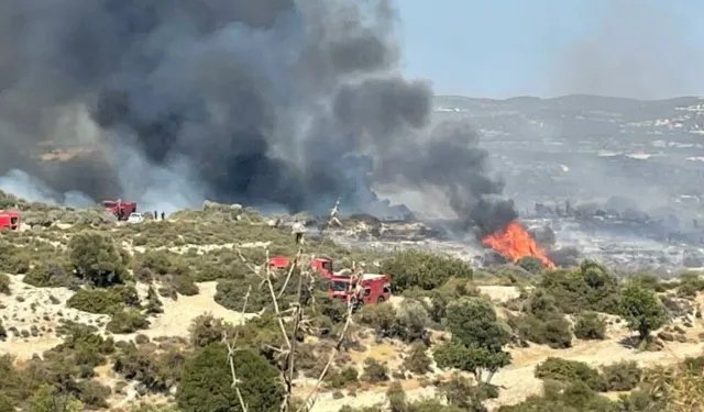 Güney Kıbrıs’ta yangından etkilenen bölgelerde su baskını tehlikesi için tedbirler alınıyor