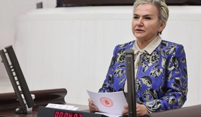 CHP İstanbul Milletvekili Nimet Özdemir,    “Türkiye tarafsızlığını korumalı”