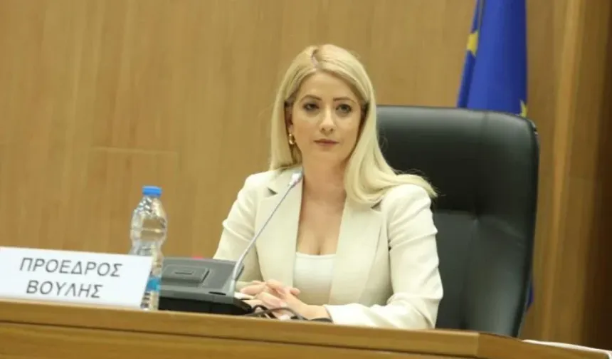 Dimitriu: Türkiye, yükümlülüklerini yerine getirmemesi halinde Avrupa savunmasına katılması mümkün değil