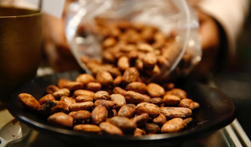 Bir fincan kakaonun erkekler için şaşırtıcı sağlık faydası